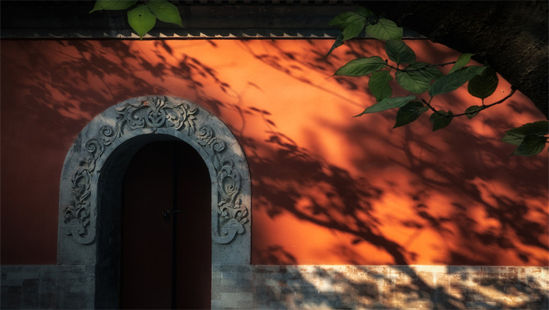 大觉寺.jpg