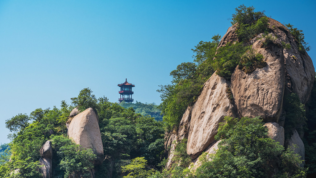 凤凰_副本.jpg
